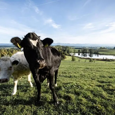 Apartamento Mondholzliebe Dg