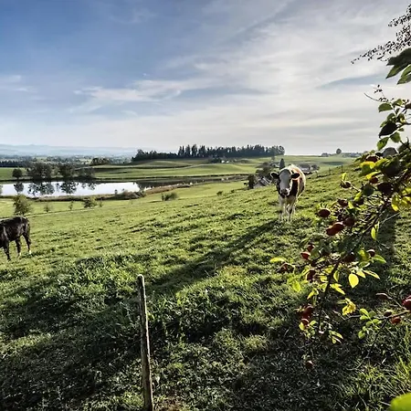 Apartamento Mondholzliebe Dg Argenbuhl