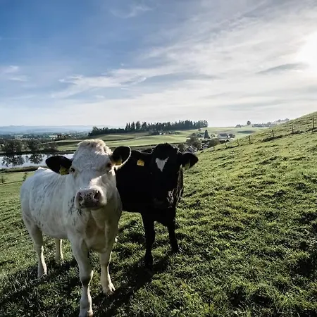 Mondholzliebe Dg Apartamento